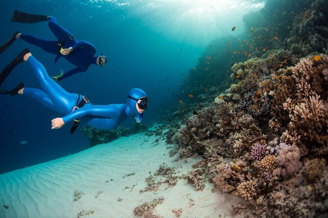 Snorkeling and Freediving Trip around Nusa Penida - Stop Two: Toyapakeh Wall