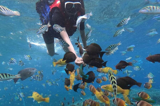 Snorkeling At Blue lagoon And Hidden waterfall - Why this Bali combination works