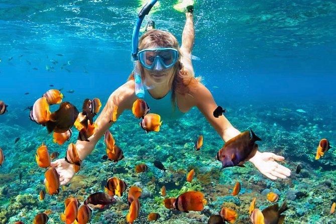 Snorkeling At Blue lagoon And Hidden waterfall - What the snorkeling feels like in practice