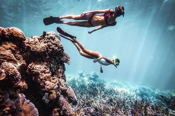Snorkeling At Blue lagoon And Hidden waterfall - Who should book this experience?