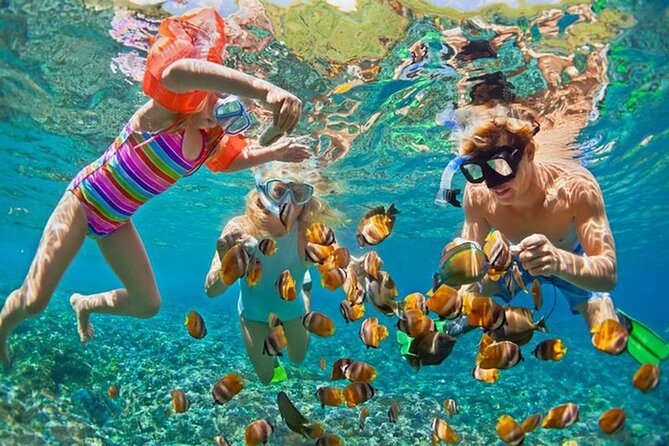 Snorkeling at Blue Lagoon Bali with Lunch and Transport - Why Blue Lagoon is worth the ride to Padangbai