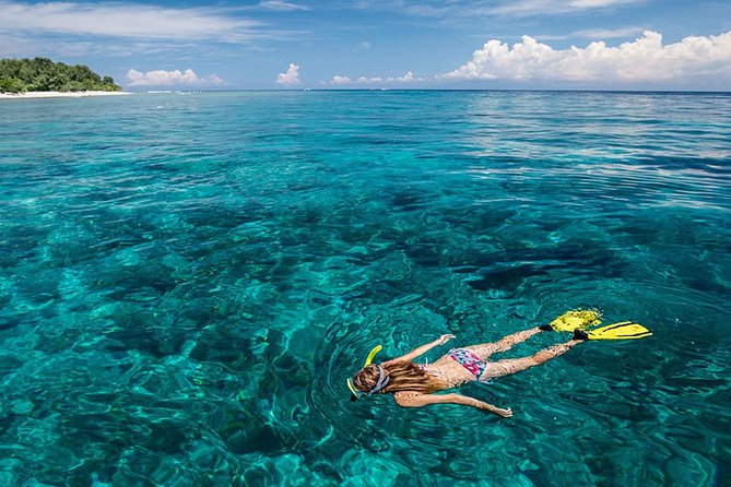 Snorkeling at Blue Lagoon Bali with Lunch and Transport - Two snorkeling spots, two chances to see the reef