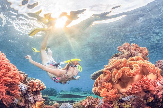 Snorkeling at Blue Lagoon Bali with Lunch and Transport - Your private ride and arrival at the coast