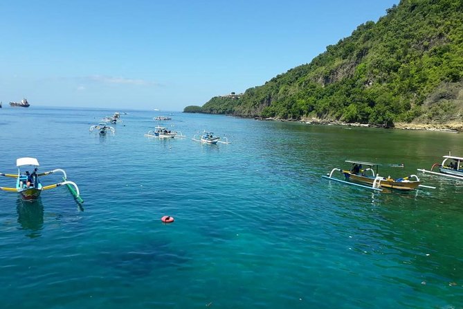 Snorkeling at Blue lagoon For walking customers - Blue Lagoon adds the chance of turtles and octopus