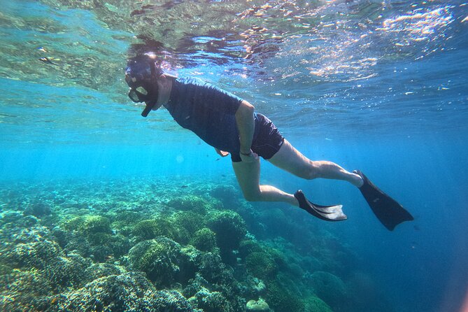 Snorkeling at Menjangan Island Bali Hidden Underwater Gem - Key points to know before you book