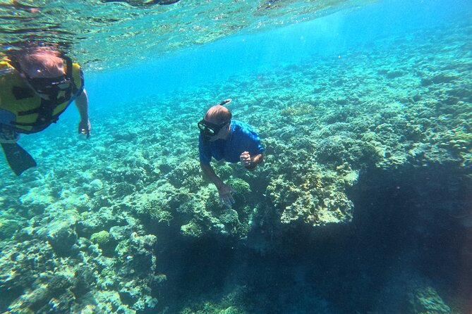Snorkeling at Menjangan Island Bali Hidden Underwater Gem - Two snorkeling stops with different underwater views