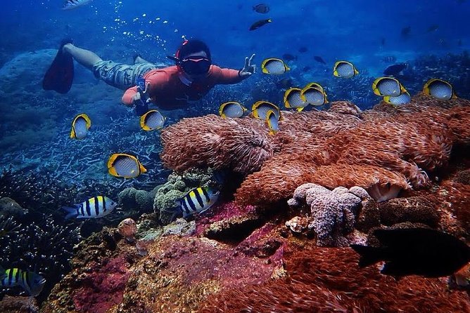 Snorkeling Day Trip To Lembongan and Penida - Getting organized at the Lembongan watersports base