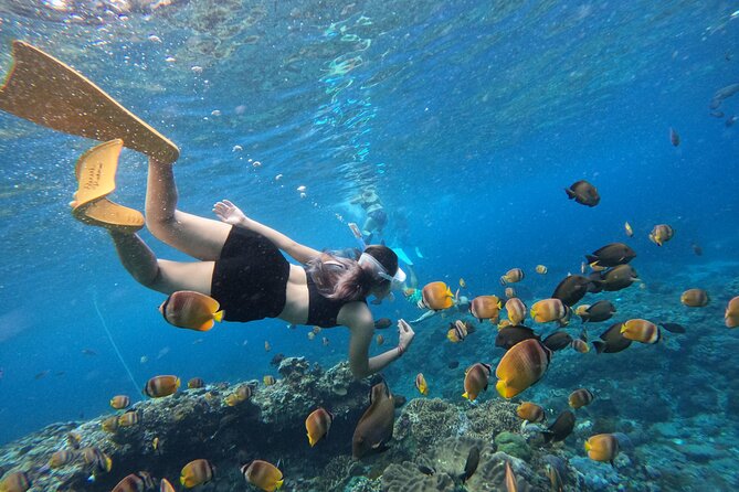 Snorkeling Day Trip To Lembongan and Penida - From Bali to Serangan Port and across to Lembongan