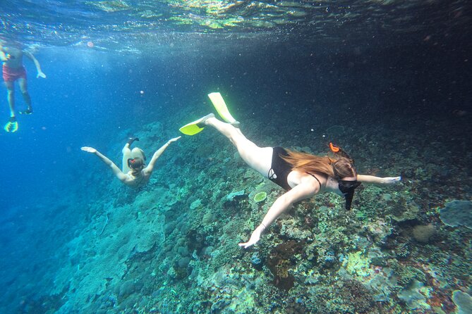 Snorkeling Day Trip to Nusa Lembongan and Nusa Penida - Key points before you book