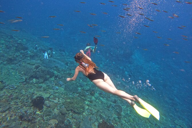 Snorkeling Day Trip to Nusa Lembongan and Nusa Penida - From Serangan to the islands by fast boat