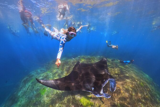 Snorkeling Day Trip to Nusa Lembongan and Nusa Penida - What makes Mangrove Point different
