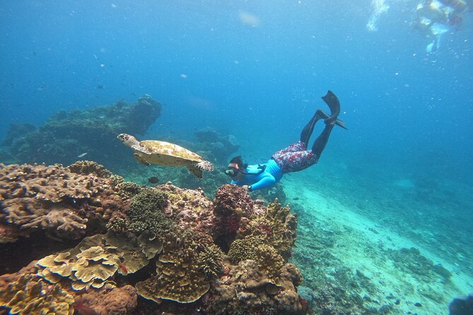 Snorkeling Day Trip to Nusa Lembongan and Nusa Penida - How good is the $42.55 value?