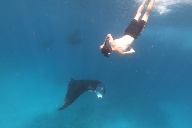 Snorkeling Day Trip to Nusa Lembongan and Nusa Penida - Who should book this day trip?