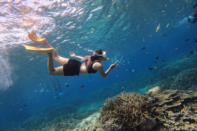 Snorkeling Day Trip to Nusa Lembongan and Nusa Penida - Three snorkel stops, chosen by the guides