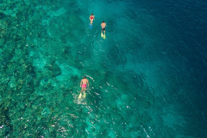 Snorkeling in Menjangan Island with Pickup and Lunch - Why Menjangan Island works so well for snorkeling