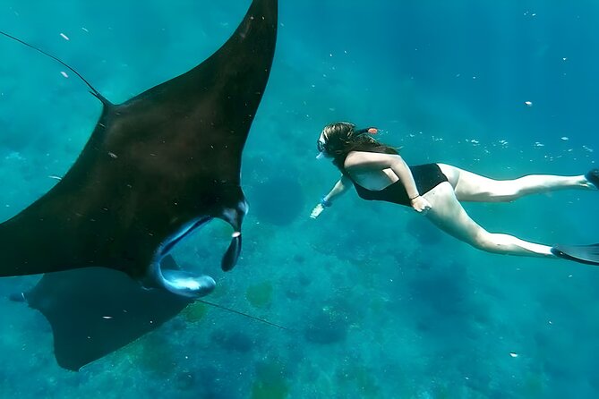 Snorkeling In Nusa Penida Departing From Bali Island - Key points to know before you book