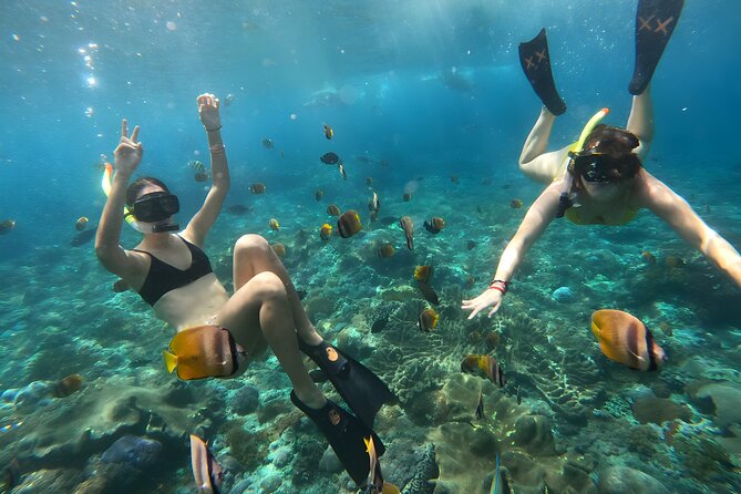 Snorkeling In Nusa Penida Departing From Bali Island - Arriving on Nusa Penida