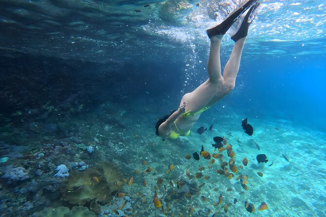 Snorkeling In Nusa Penida Departing From Bali Island - Group size, guides, and the feel of the boat