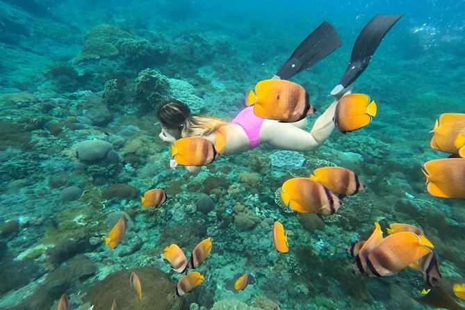 Snorkeling In Nusa Penida Island With Manta Ray From Bali - Gamat Bay and Wall Point