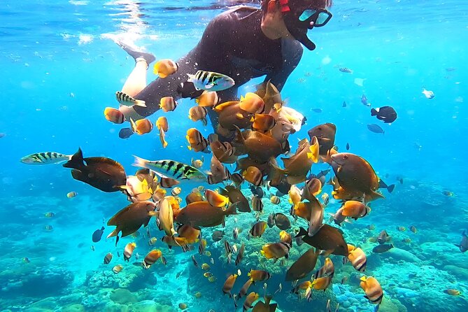 Snorkeling In Nusa Penida Island With Manta Ray From Bali - Crystal Bay and the manta search