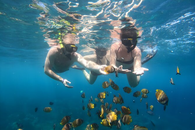 Snorkeling In Nusa Penida Island With Manta Ray From Bali - How much snorkeling time will you get?