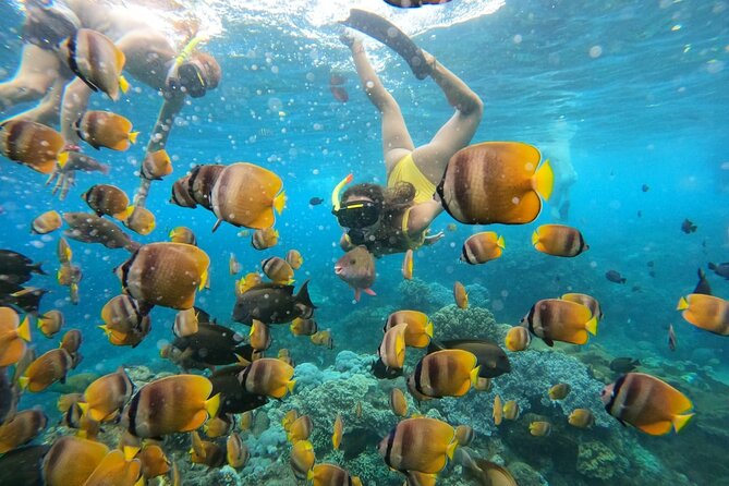 Snorkeling In Nusa Penida Island With Manta Ray From Bali - What the $95 price includes