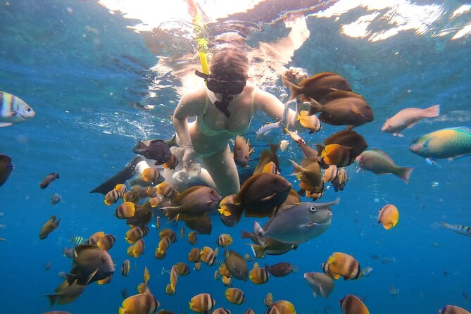 Snorkeling In Nusa Penida Island With Manta Ray From Bali - Crossing from Sanur to Nusa Penida