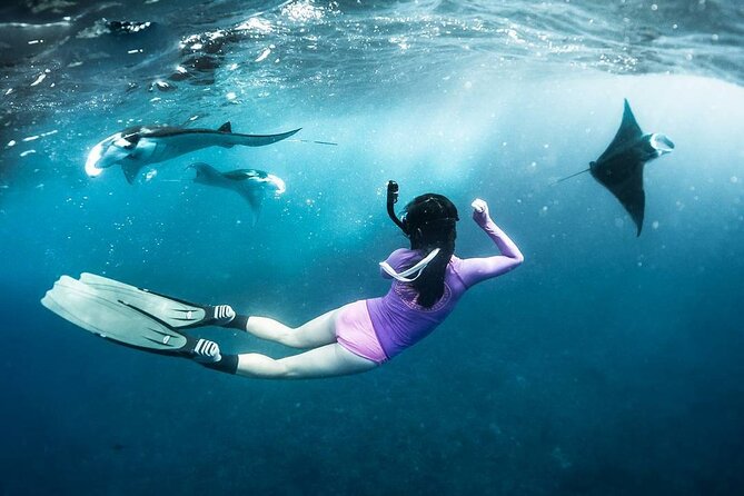 Snorkeling Manta Ray in Nusa Lembongan - What two hours on the water really means