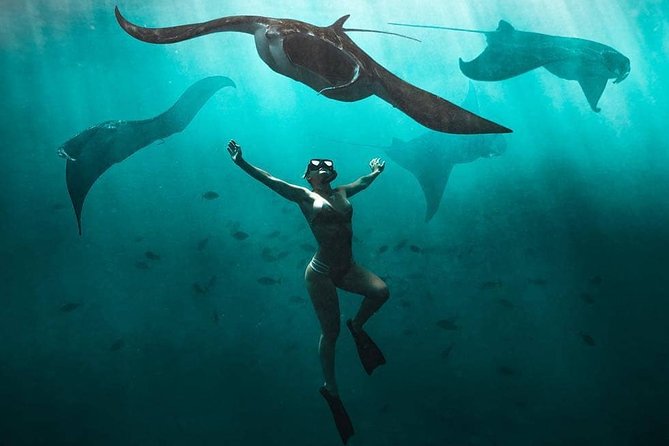 Snorkeling Manta Ray Safari in Nusa Penida - At a glance