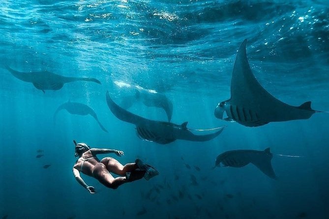 Snorkeling Manta Ray Safari in Nusa Penida - Gamat Bay and Wall Point round out the route