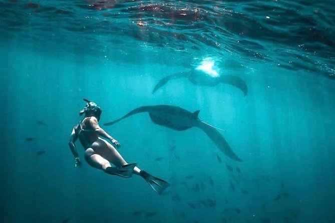 Snorkeling Manta Ray Safari in Nusa Penida - Group size can change the experience