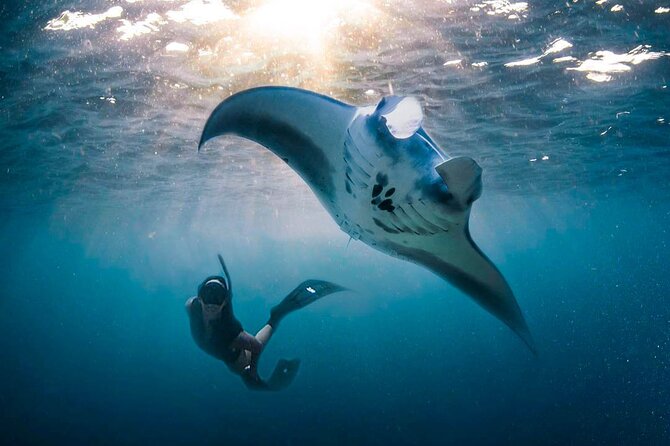 Snorkeling Manta Ray Safari in Nusa Penida - The guides bring useful energy