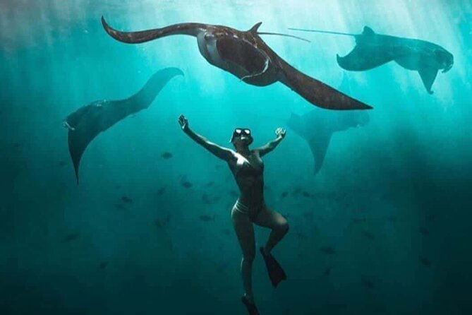 Snorkeling Nusa Penida and Island Tour Package - Kelingking Beach and the island tour option