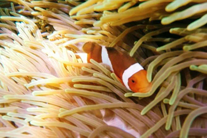 Snorkeling Package at Padang Bai Blue Lagoon - Boarding the traditional jukung