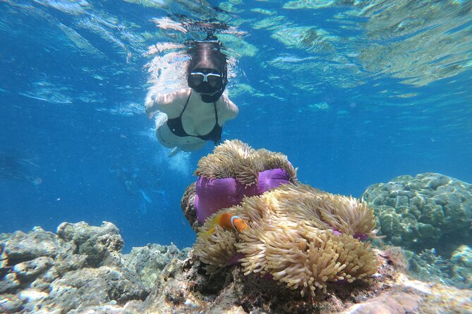Snorkeling Tour at Blue Lagoon with Private Hotel Transfer - Key points to know before you book