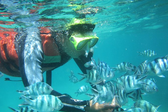 Snorkeling Tour at Blue Lagoon with Private Hotel Transfer - Why the private format matters