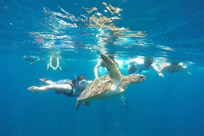 Snorkeling Tour In Gili Trawangan, Gili Meno And Gili Air Pick Up From Bali - Three Gili Islands Before Nightfall