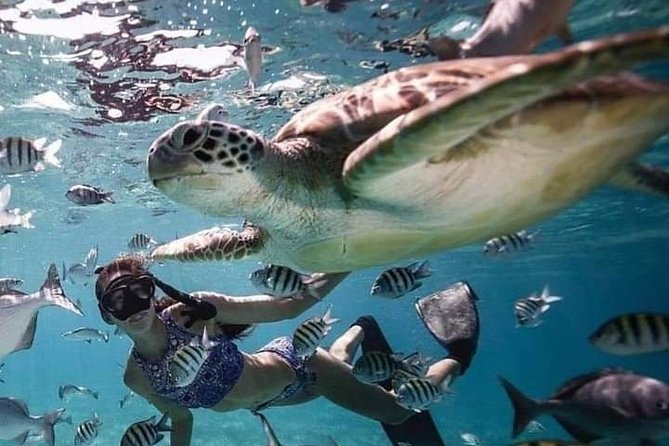 Snorkeling Tour In Gili Trawangan, Gili Meno And Gili Air Pick Up From Bali - What the $275 Price Really Buys