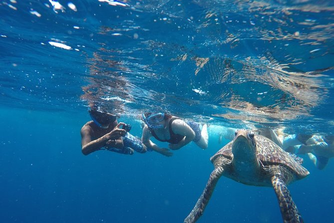 Snorkeling Tour In Gili Trawangan, Gili Meno And Gili Air Pick Up From Bali - The Gear, Boat, and GoPro Details
