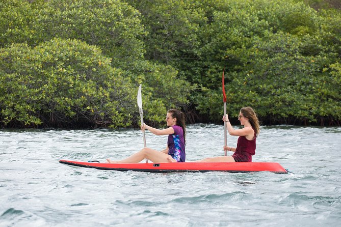 Snorkeling & Trekking at West Bali National Park - Two days, two sides of Bali’s wild west