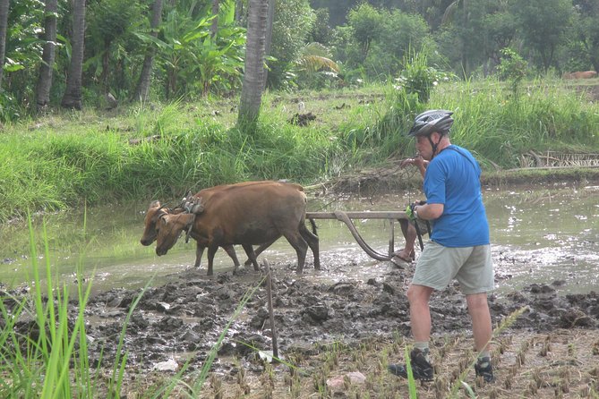 Snorkeling & Trekking at West Bali National Park - Who will enjoy this experience most