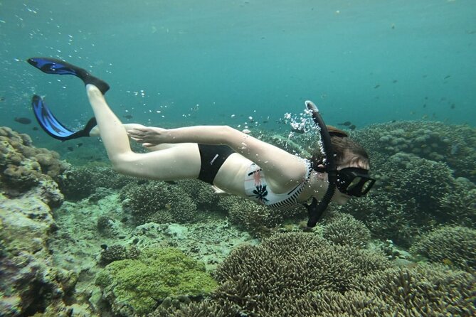 Snorkeling Trips with Manta Ray from Nusa Lembongan - The real appeal: manta rays with a safety net