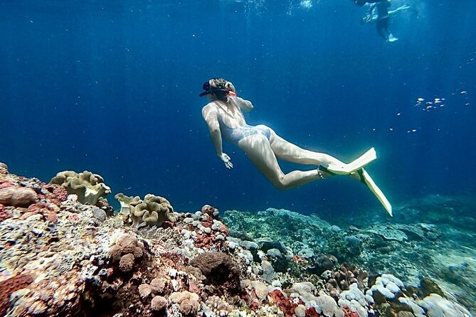 Snorkeling Trips with Manta Ray from Nusa Lembongan - Is $23 a good value?