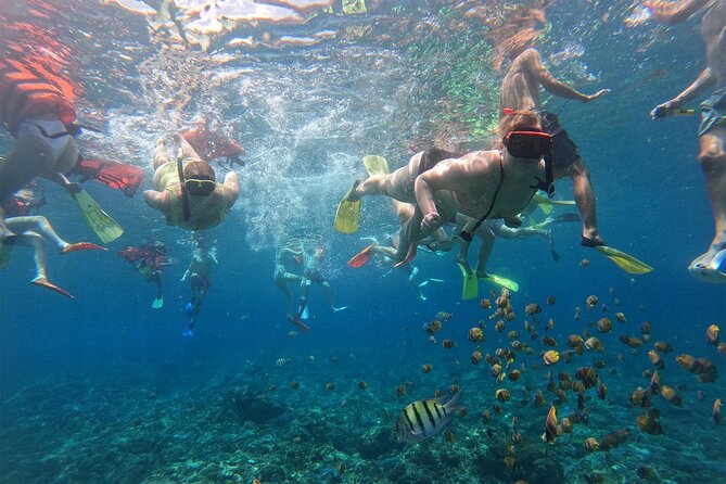 Snorkeling with Manta Rays in Their Habitat with Manta Point - What the three hours probably feel like
