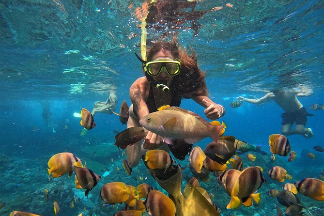 Snorkeling with Manta Rays in Their Habitat with Manta Point - Small details that can make the outing better