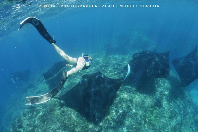 Snorkelling in Nusa Penida - Manta Point - Stop three: northern drift sites and a broader view of the island