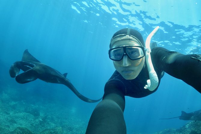 Snorkelling in Nusa Penida - Manta Point - Starting at Neptune Scuba in Sanur
