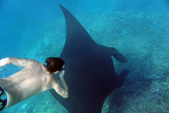 Snorkelling with Manta Rays at Nusa Penida and Lembongan - Group size, guidance, and comfort in the water
