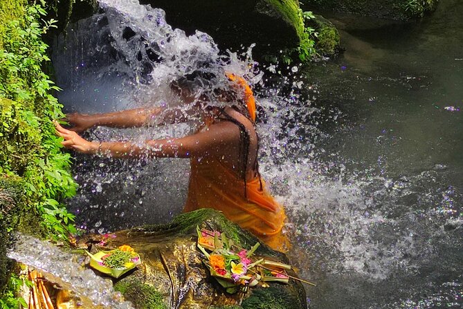Spiritual Cleansing Ritual and Shamanic Healing in Bali - The private format and the guide make a difference