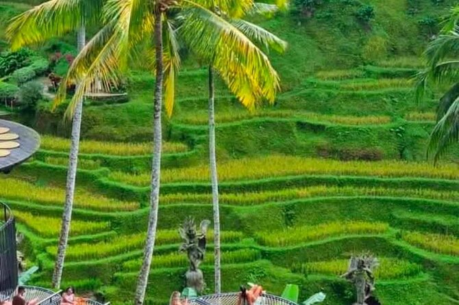 Sunset Sailboat Dinner Cruise & Private Ubud highlights Tour. - Tegallalang Rice Terrace: Bali’s most recognizable view